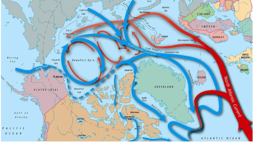 The Arc-c Ocean current system