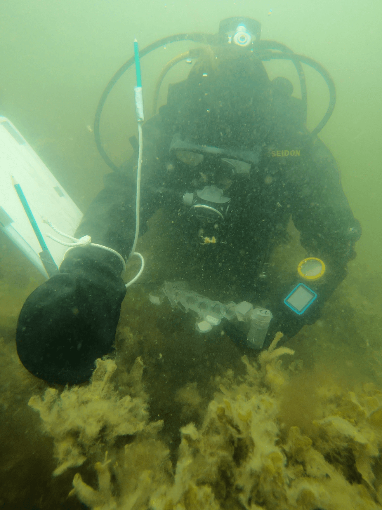 Picture 1. Ferries from Viking Line and Finnlines are approaching a field site
in the Archipelago Sea. Photo by Mariah Josten (2025).