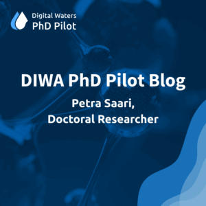 PhD Pilot blog Petra Saari