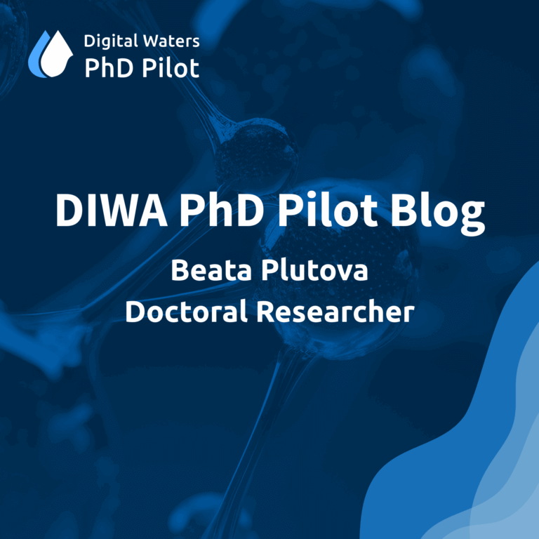 PhD Pilot Blog Beata Plutova