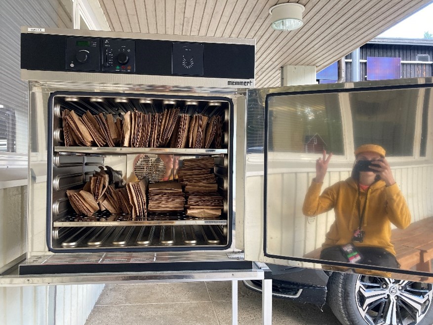 Some of the plant samples being dried in the oven.