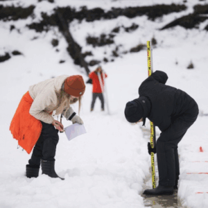 Researchers at Oulanka