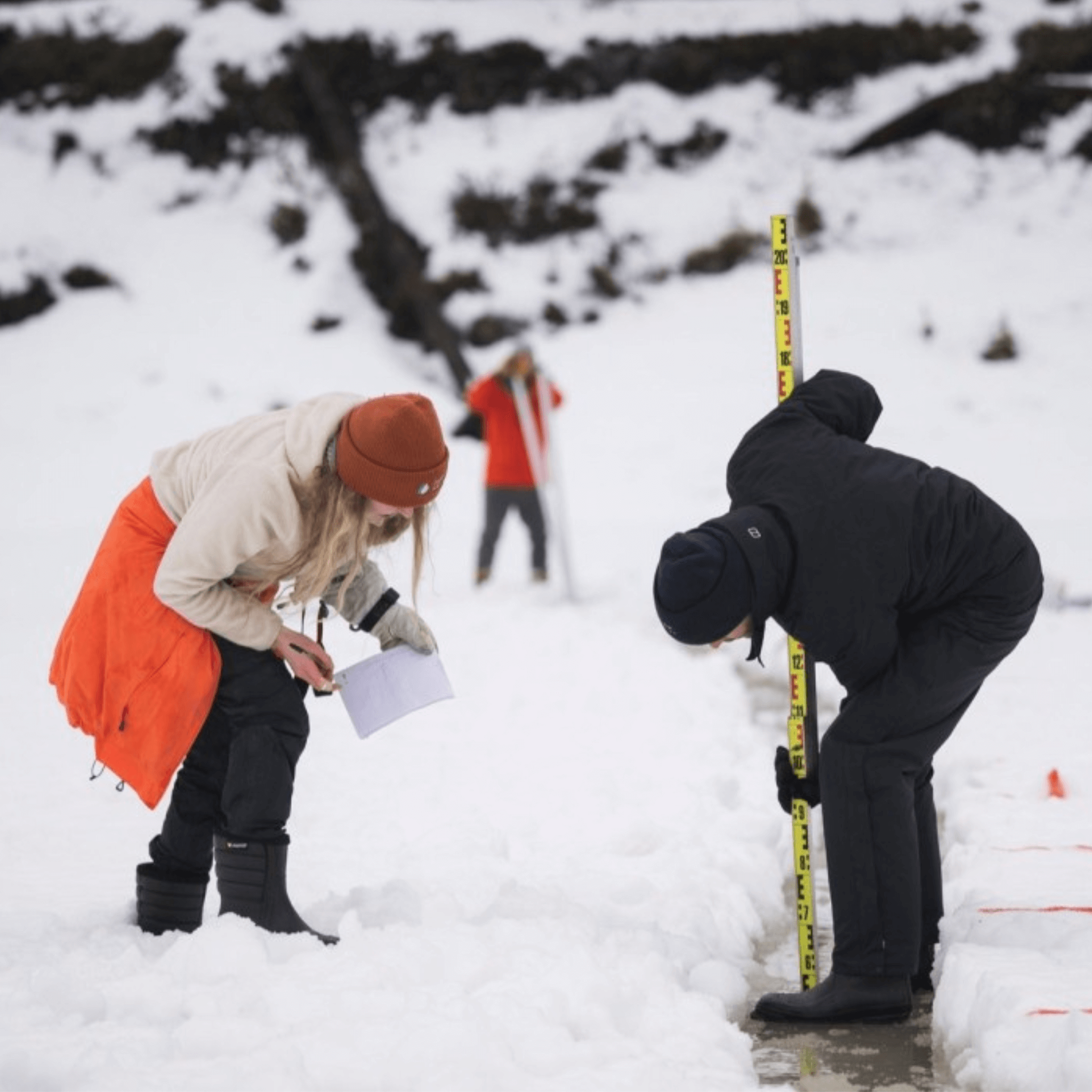 Researchers at Oulanka