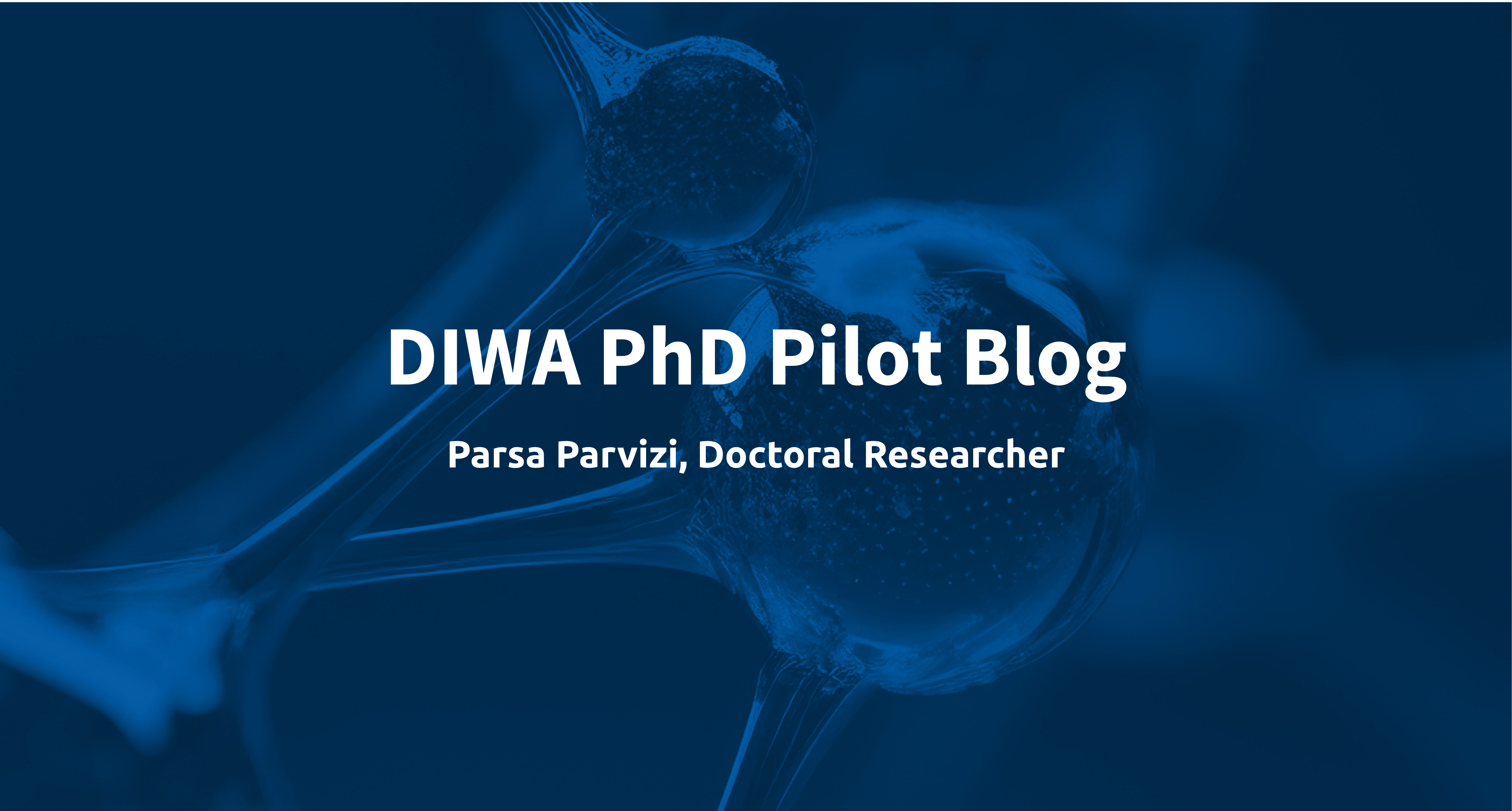 DIWA PhD Pilot Blog Parsa Parvizi