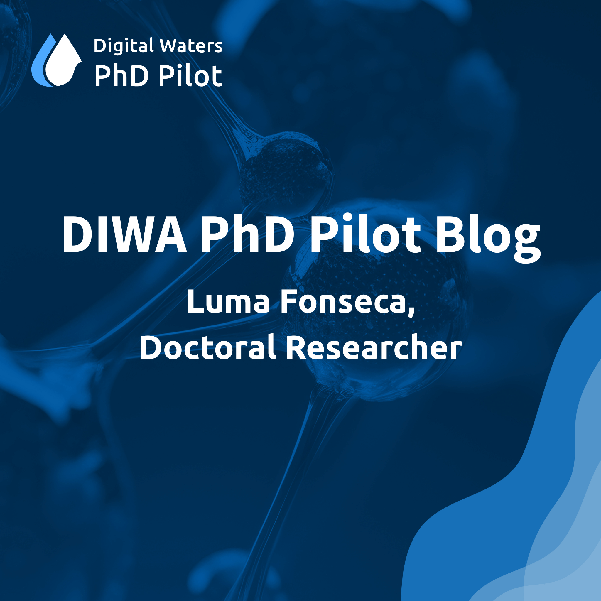 PhD Pilot Blog Luma Fonseca