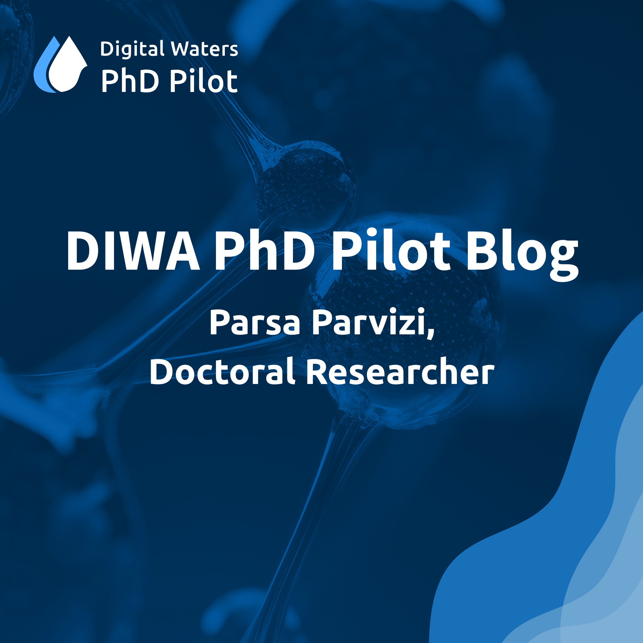 DIWA PhD Pilot Blog Parsa Parvizi