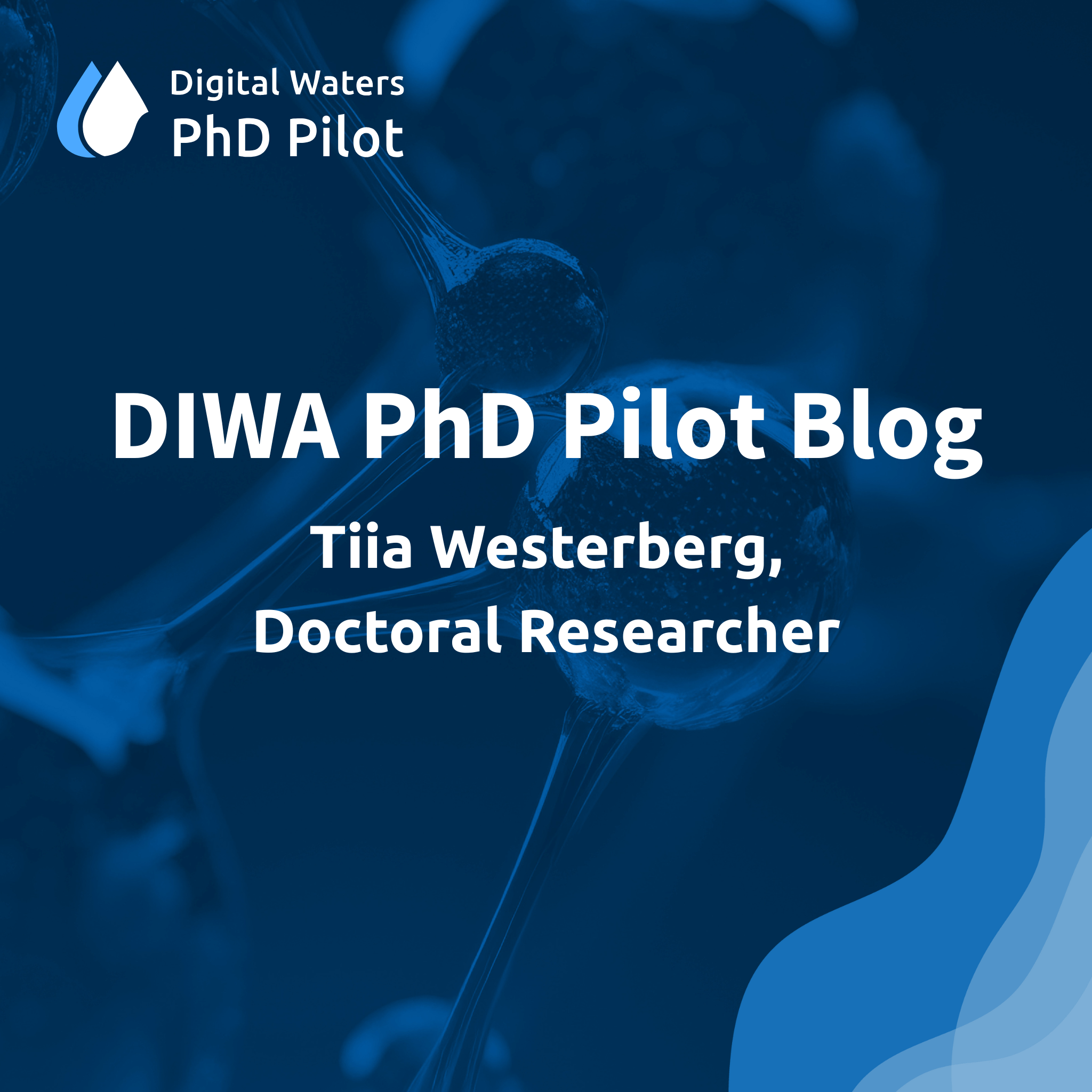 PhD Pilot Blog Tiia Westerberg
