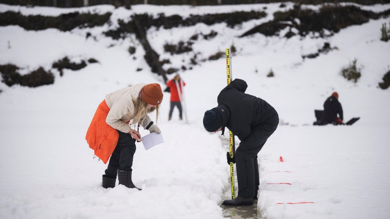 Researchers at Oulanka