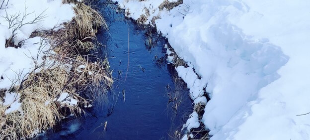 The study stream network in the Lompolojängänoja (LJO) catchment in northern Finland