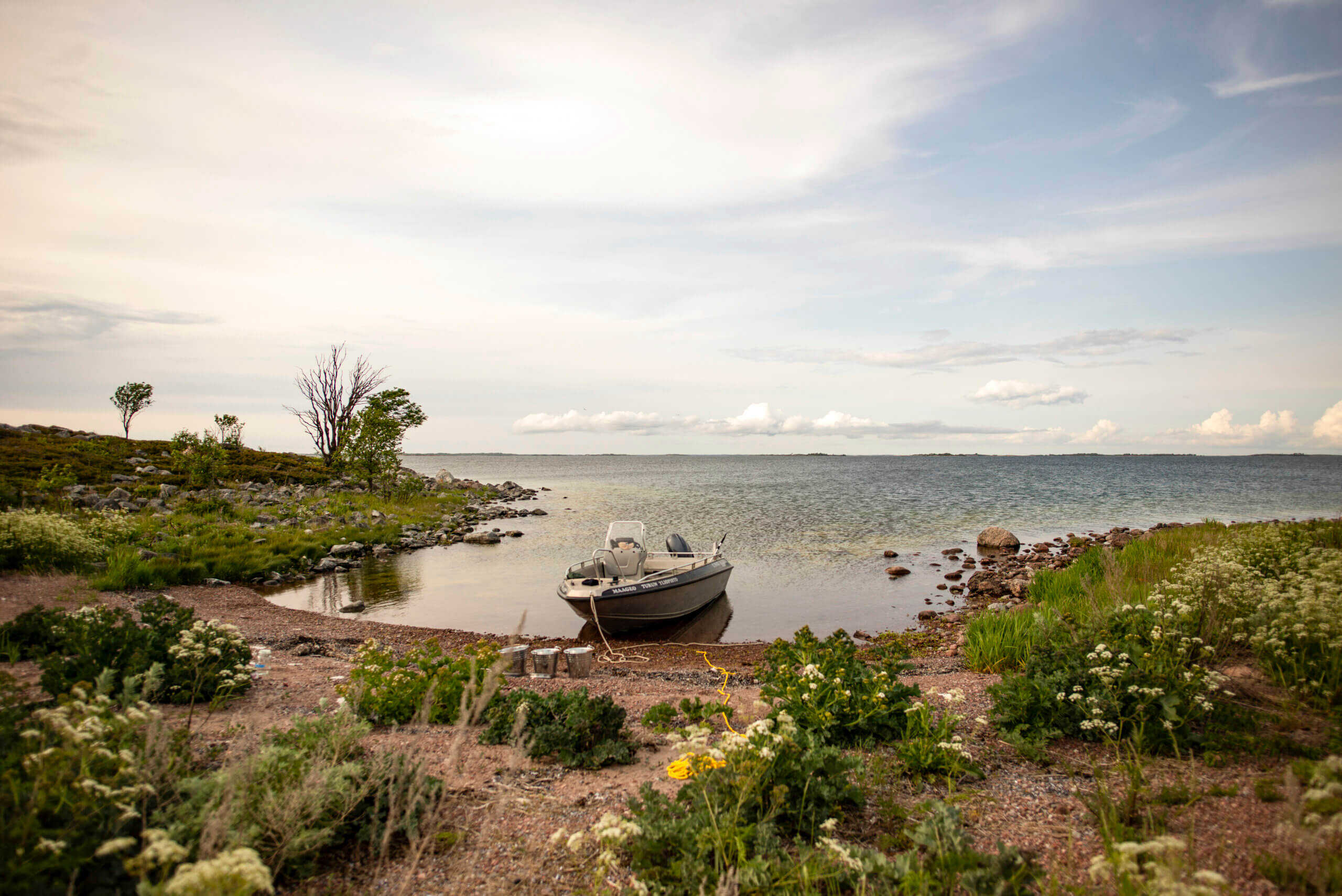 Research site in Åland. Photo: Laura Laaksonen