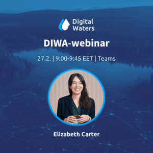 DIWA webinar 27.2.