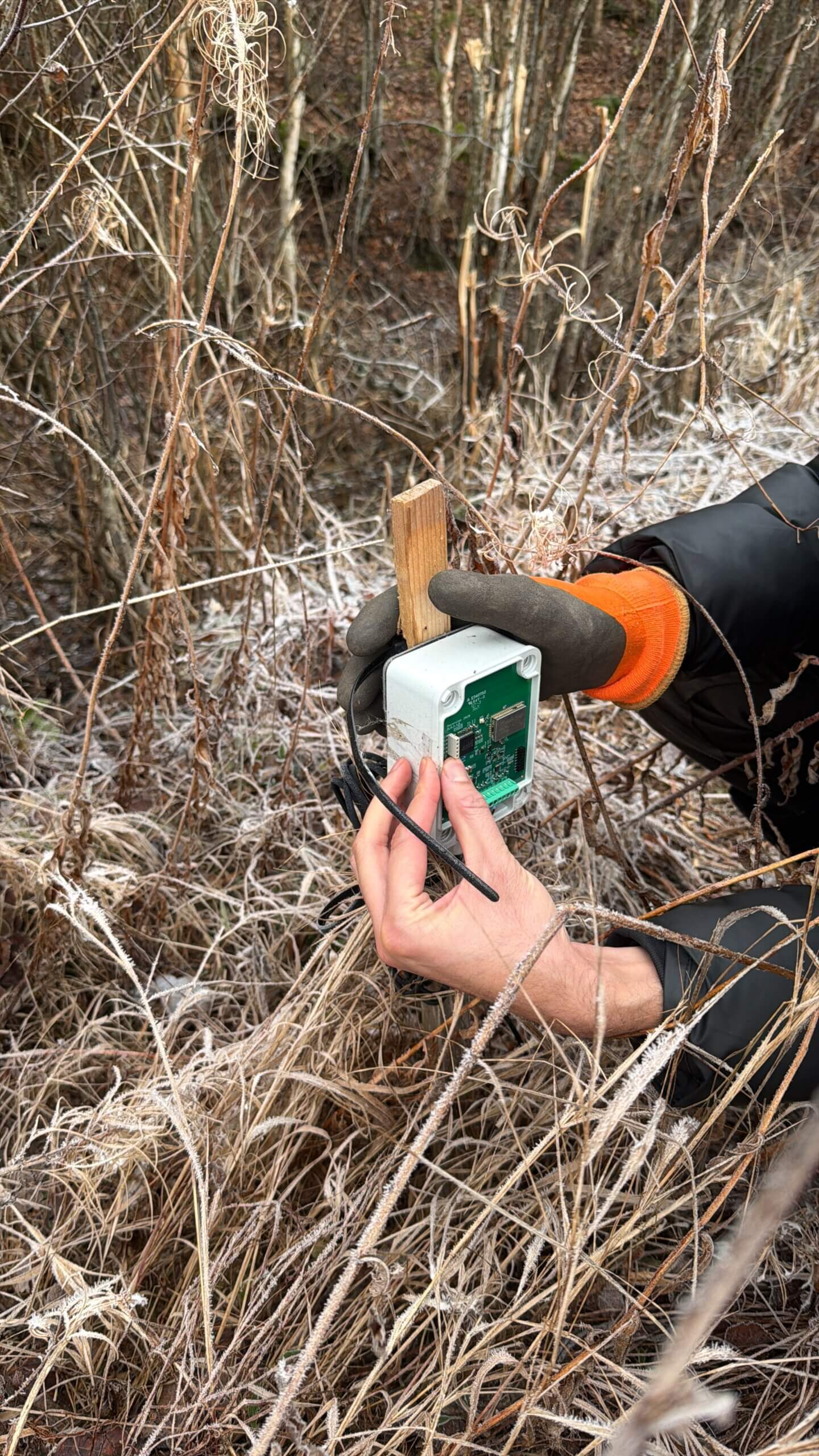 Measuring soil moisture by sensors installed in fields