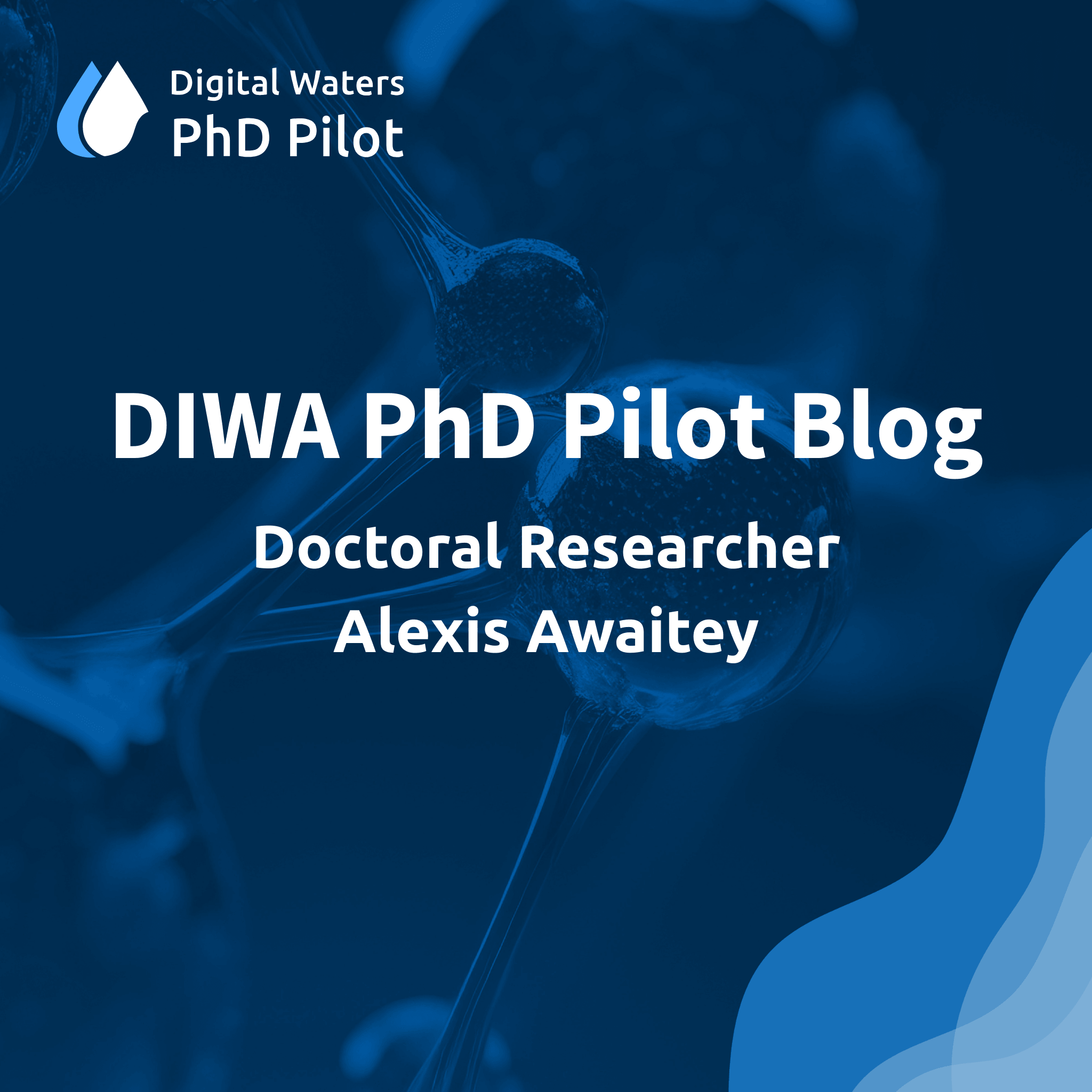 PhD Pilot Blog Alexis Awaitey