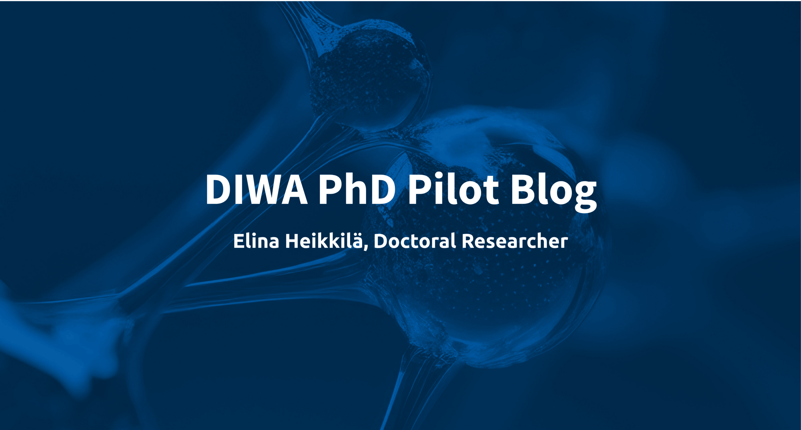PhD Pilot blog Elina Heikkilä