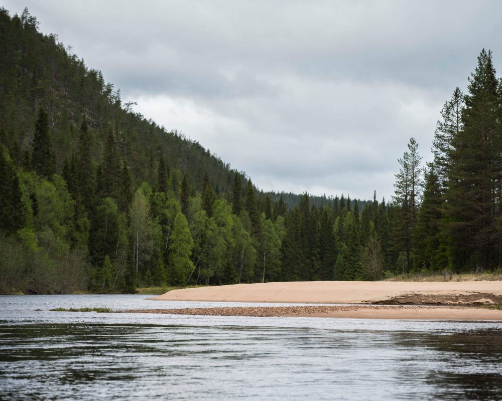 VilleKankarePhoto_Oulanka_Spring_2026-86